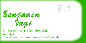 benjamin vagi business card